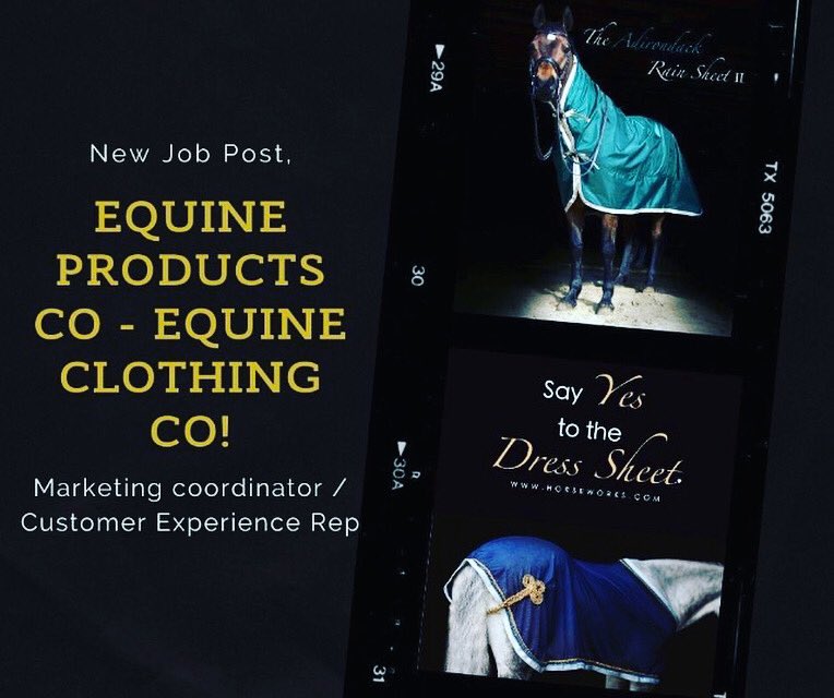 NEW JOB ROLE, AMSTERDAM, NY USA

Marketing Coordinator/Customer Experience Rep

Skills: Marketing, Social media marketing, telephone skills be capable of writing publications with great communication skills.

Please ably via the Equi Role Global App, on iOS &amp; Android