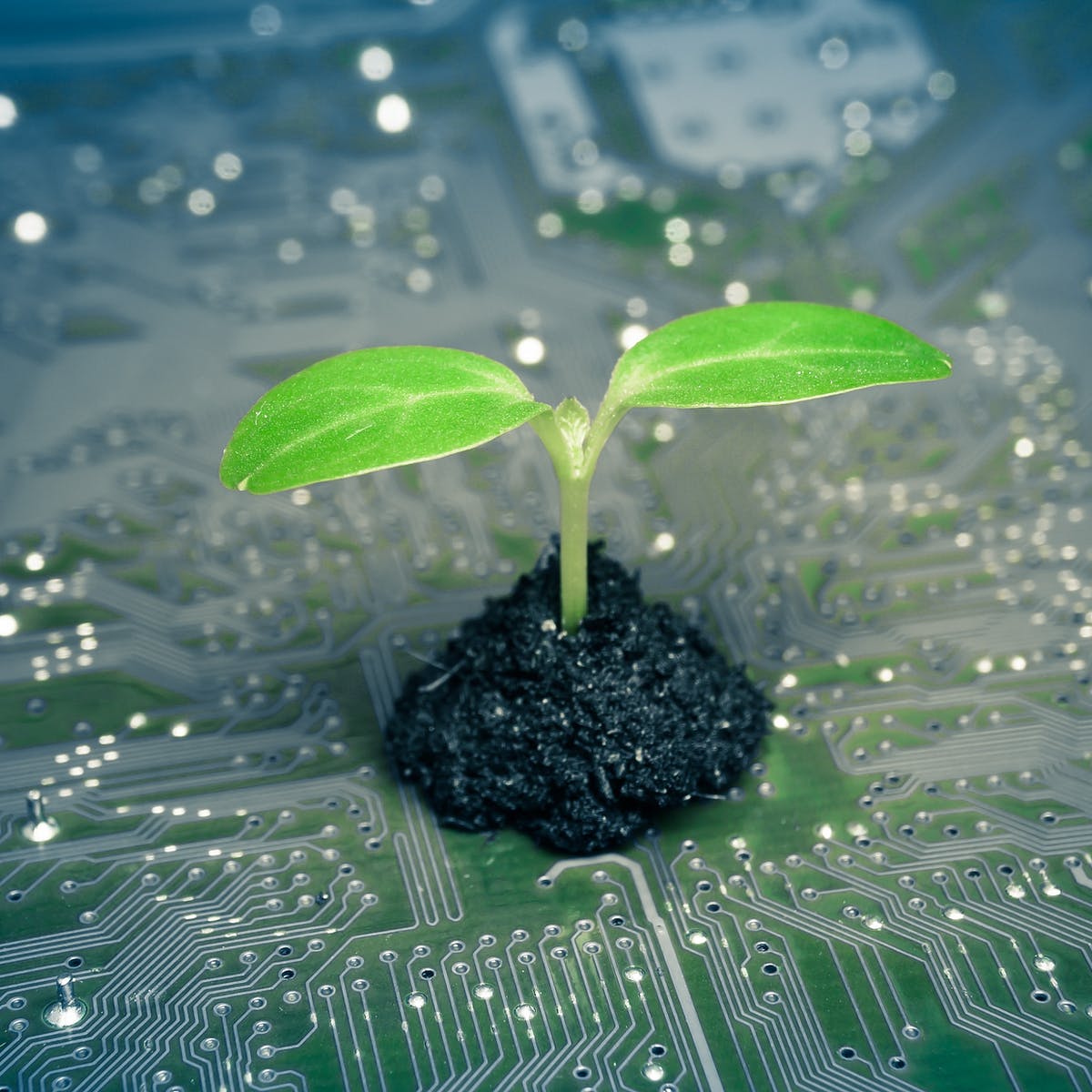 Galorbi's tweet photo. The #world is getting more #digital and #greener... We will probably continue on this #path even after #COVID19 ... and transforming the #global #economy ...
#Sustainability #future #ClimateChange #climate https://t.co/B5pcouTAU4