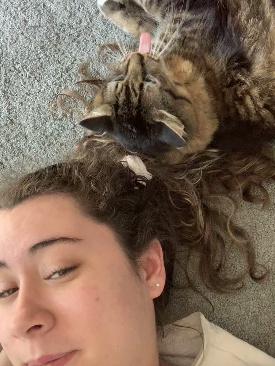 ktweeb3's tweet photo. my #cat is a dork @tigerweeb https://t.co/ETF0QkLsu5