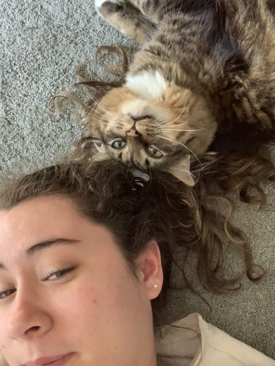 ktweeb3's tweet photo. my #cat is a dork @tigerweeb https://t.co/ETF0QkLsu5