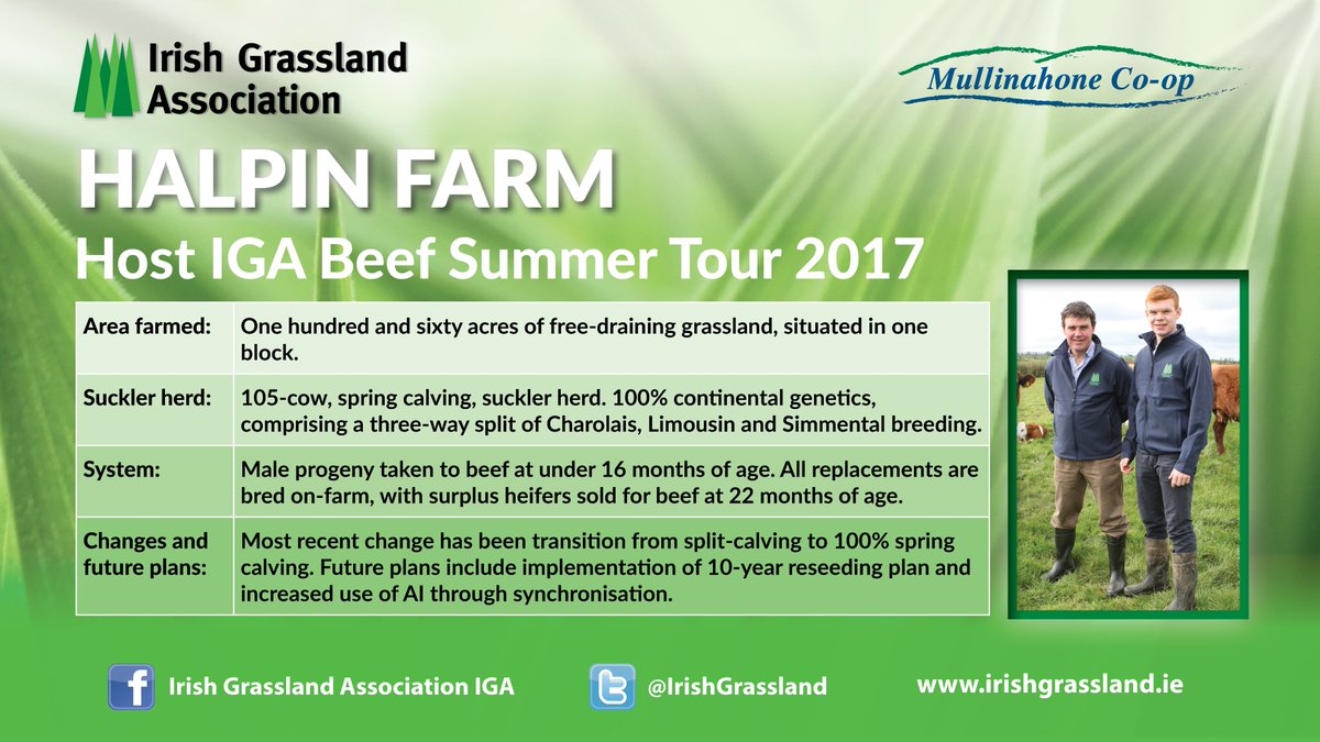 IrishGrassland's tweet photo. IGA Beef 2020 The Halpin Farm

* THANK YOU TO THE HALPIN FAMILY*

Today we showcase the Halpin Beef Farm @MatthewHalpin22 in Meath with @Mullinahone Co-op #igabeef https://t.co/4xlWBkDnjc