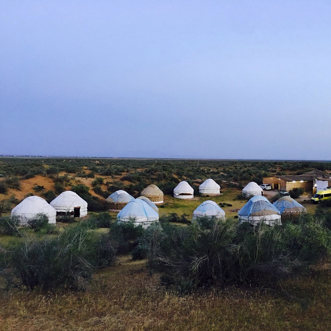 TNavoi's tweet photo. This is a quiet and hidden "Golden Safari" rest zone, which situated in Konimekh district of Navoi region🐪☀️🏜️

#Navoi #safari #travel #tourism #Uzbekistan https://t.co/QWeecMAyhz