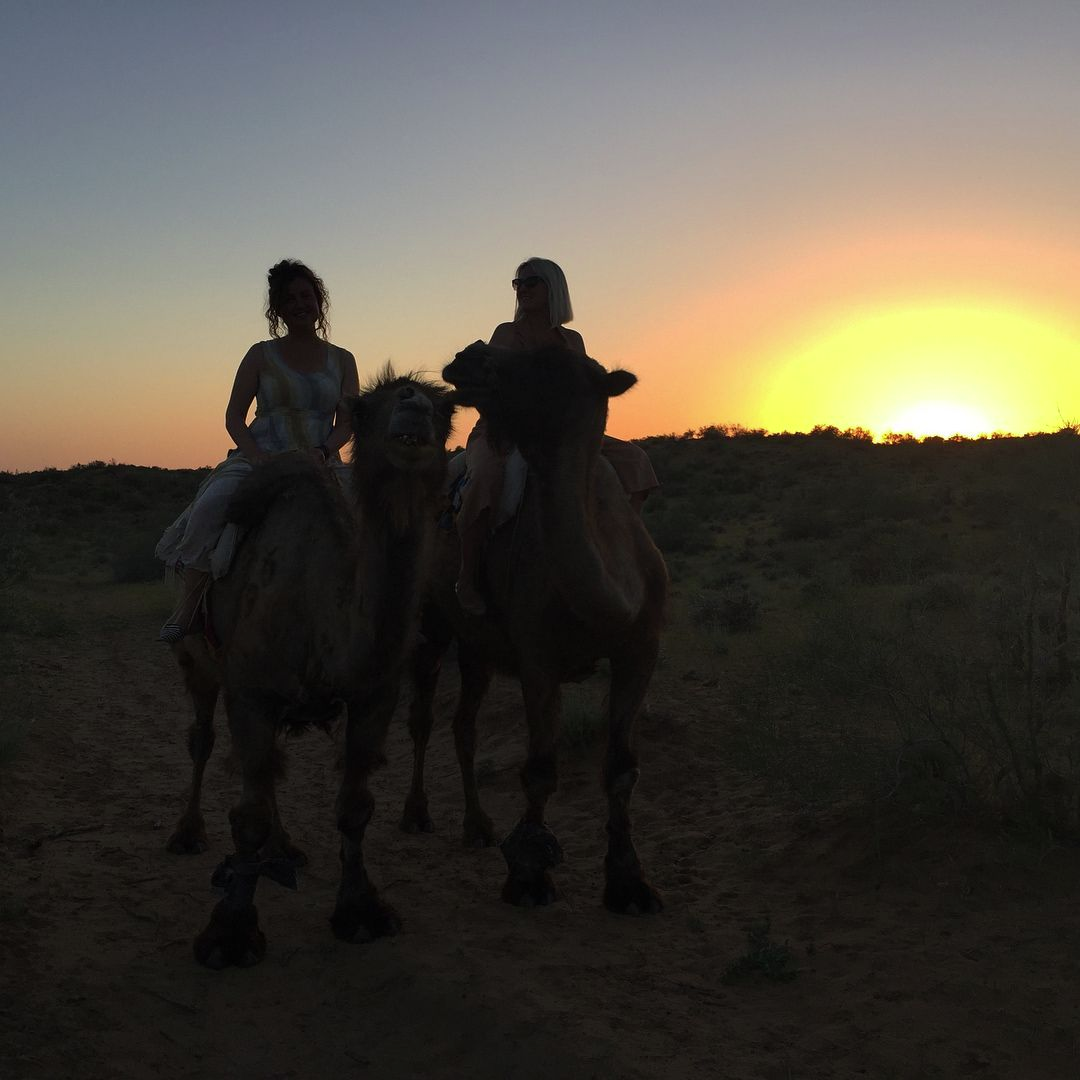 TNavoi's tweet photo. This is a quiet and hidden "Golden Safari" rest zone, which situated in Konimekh district of Navoi region🐪☀️🏜️

#Navoi #safari #travel #tourism #Uzbekistan https://t.co/QWeecMAyhz