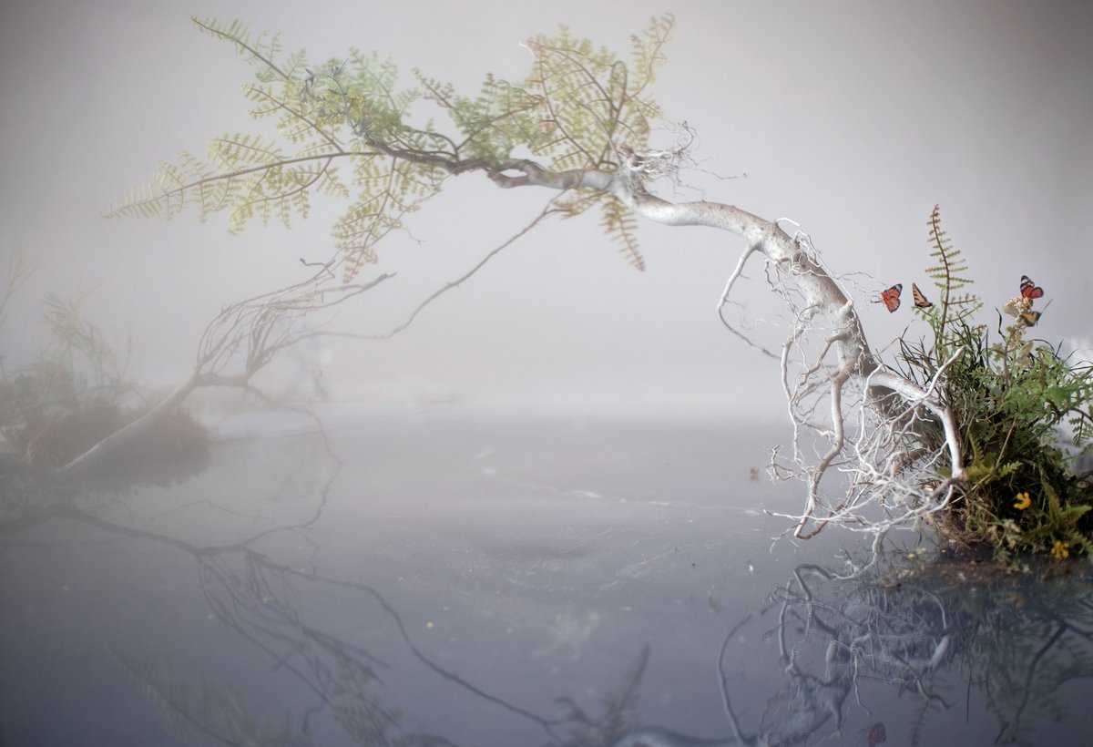 Thanks, CoolCleveland! More love for Lori Kella's stunning images for our 2020-21 season, #EmbracingChange 🤗

coolcleveland.com/2020/07/les-de…