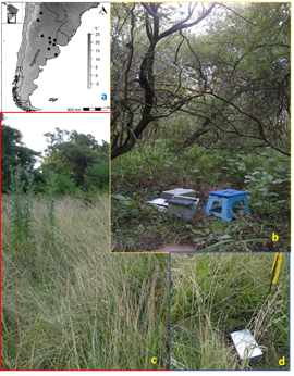ifeva_en's tweet photo. Drivers of #greenhousegas #emissions in #grasslands and #forests: Temporal variation in N2O emissions depends on #soil #TEMPERATURE and soil NO3 but spatial variation changes with mean annual temp, soil #clay, P and NO3. #globalchange Read this at: https://t.co/g2qVYJlXei https://t.co/K03TCAItCv