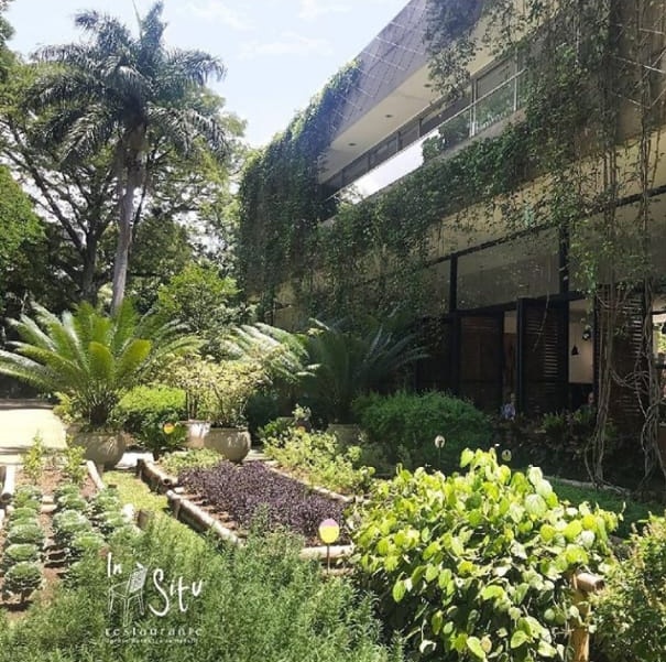 luisbrochero_'s tweet photo. ¿Dónde comer? Si estás en Medellín, INSITU en el Jardín Botánico, tienen delivery sin costo o servicio en sitio para llevar! Deliciosos platos y postres #MedellinCuidadoTotal #MedellinMeCuida Su IG: @restauranteinsitujbm https://t.co/13y1qukMgP