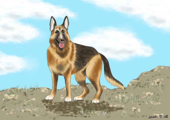 Twoucan シェパード の注目ツイート イラスト マンガ コスプレ モデル
