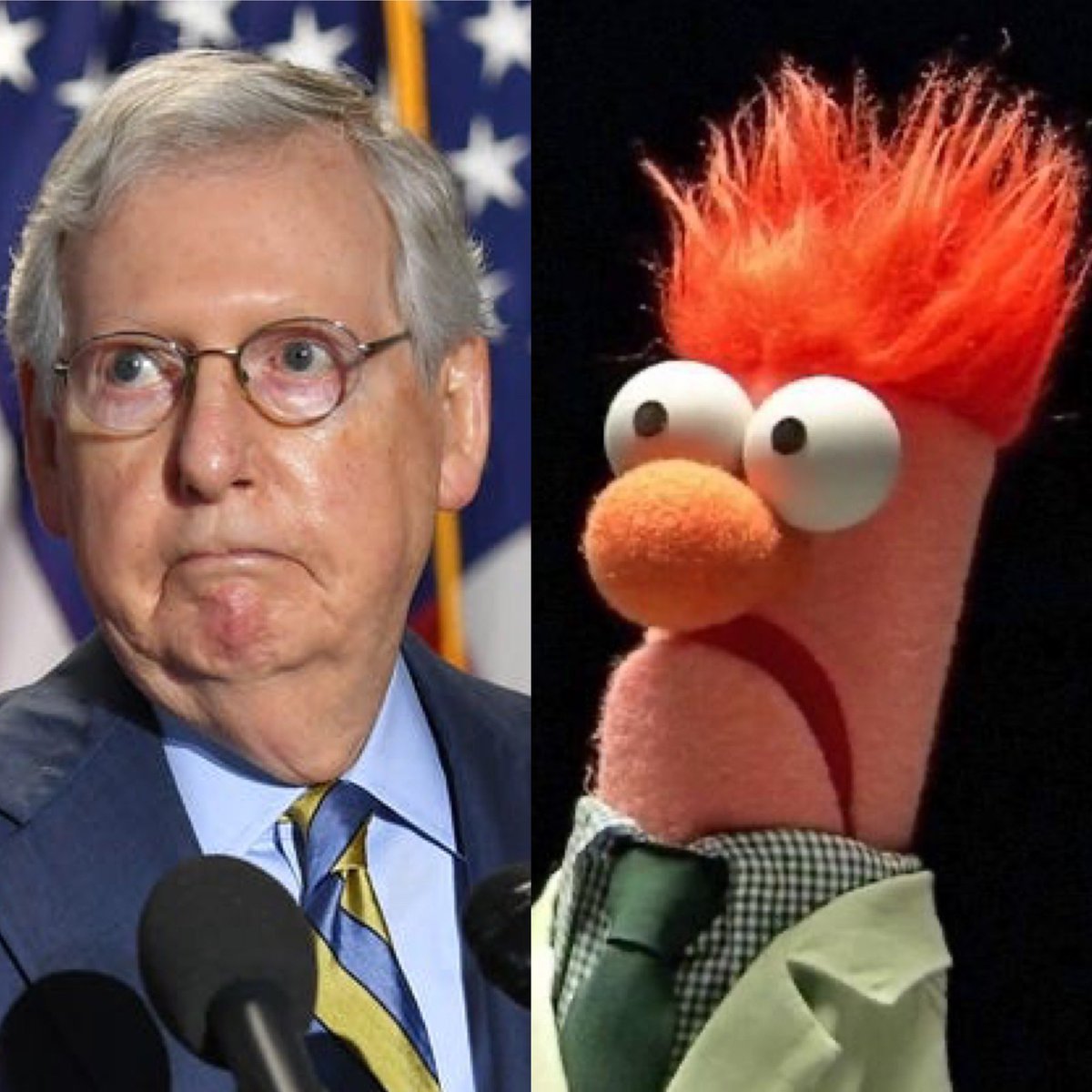 برچسب Mitchmcconnell در توییتر
