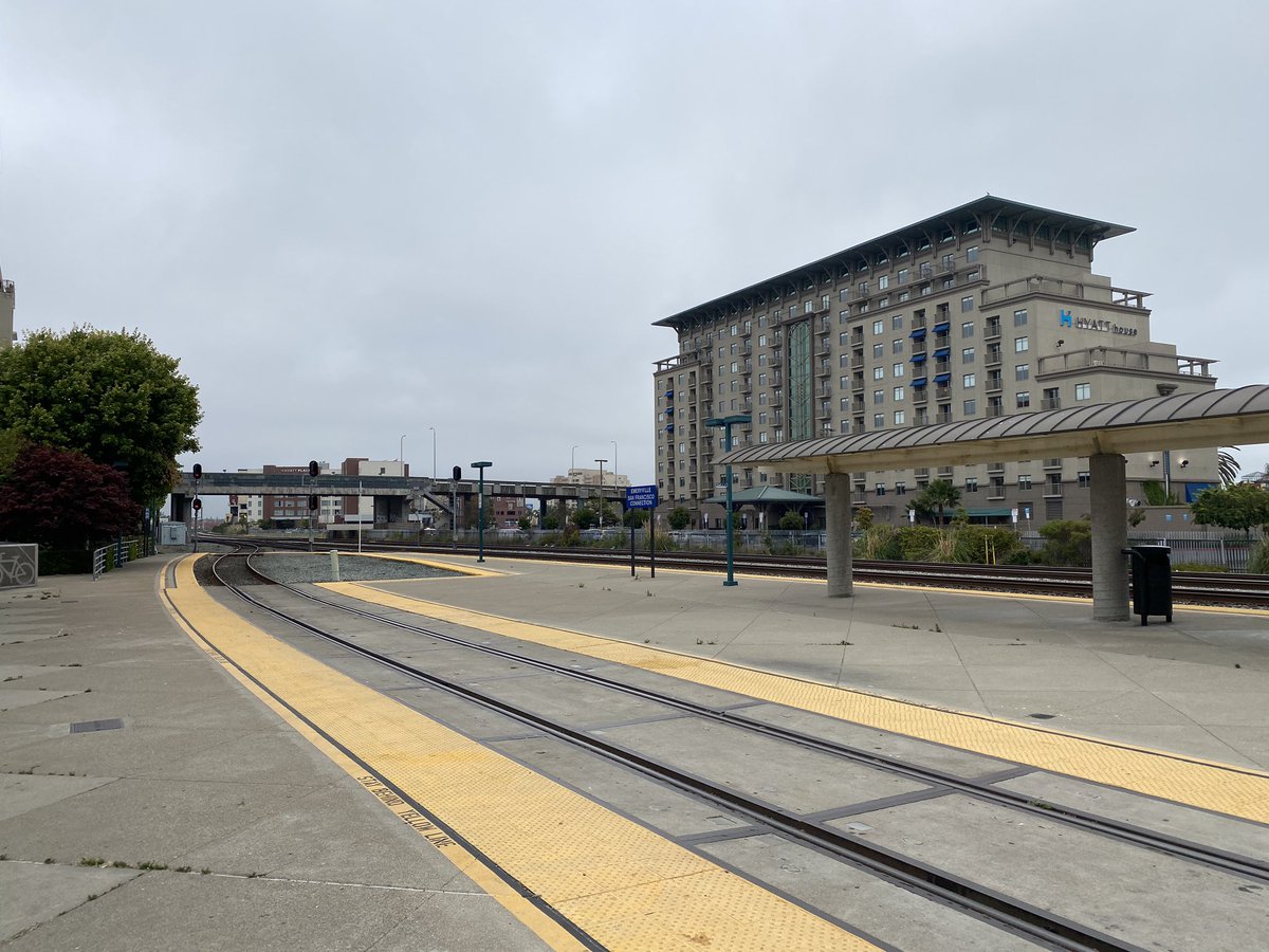 This morning we’ll embark on our 3 day, two train journey to the east. California Zephyr from Emeryville presently, then Lake Shore Limited from Chicago on Thursday.  #bunnigration