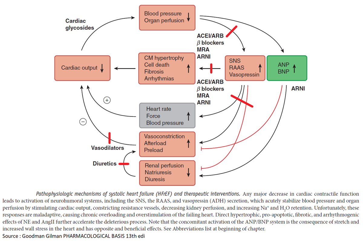 ManualOMedicine tweet picture