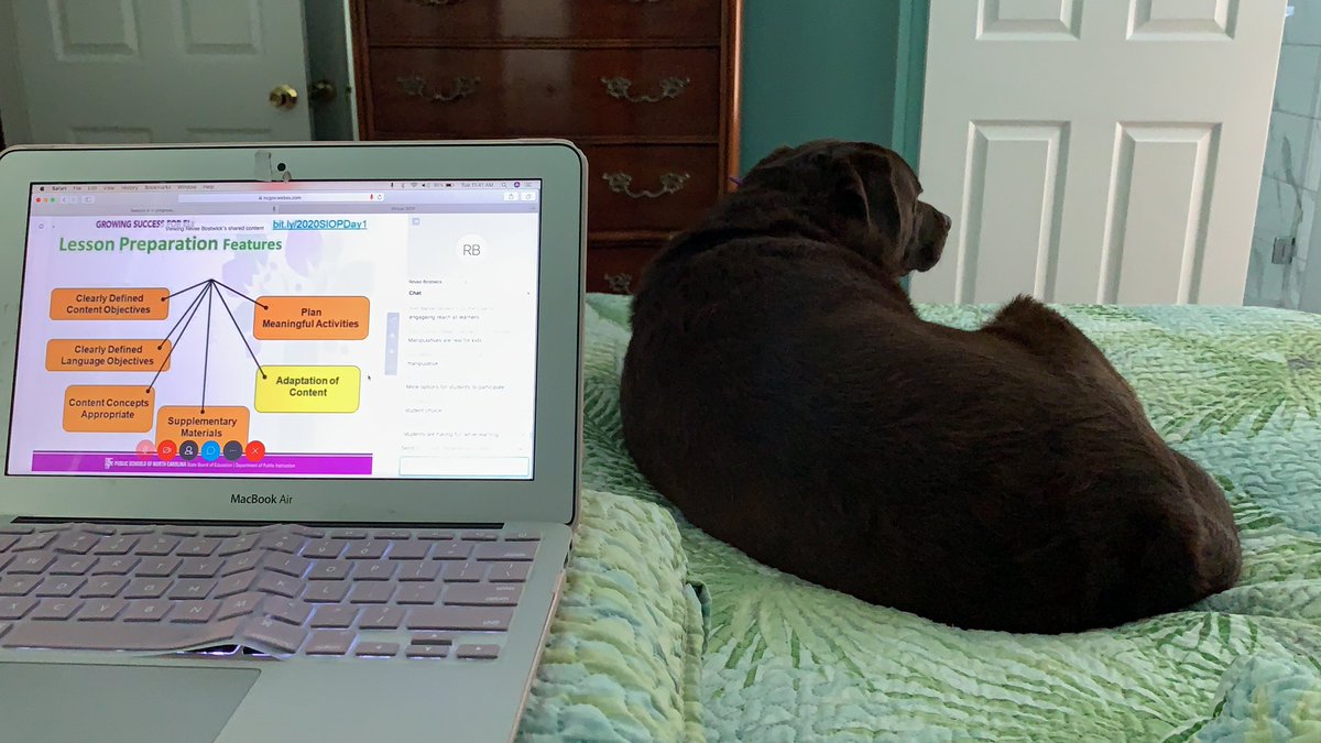 Sunday_Allen's tweet photo. Trooper and I are learning about SIOP today https://t.co/LWut9ztyX2