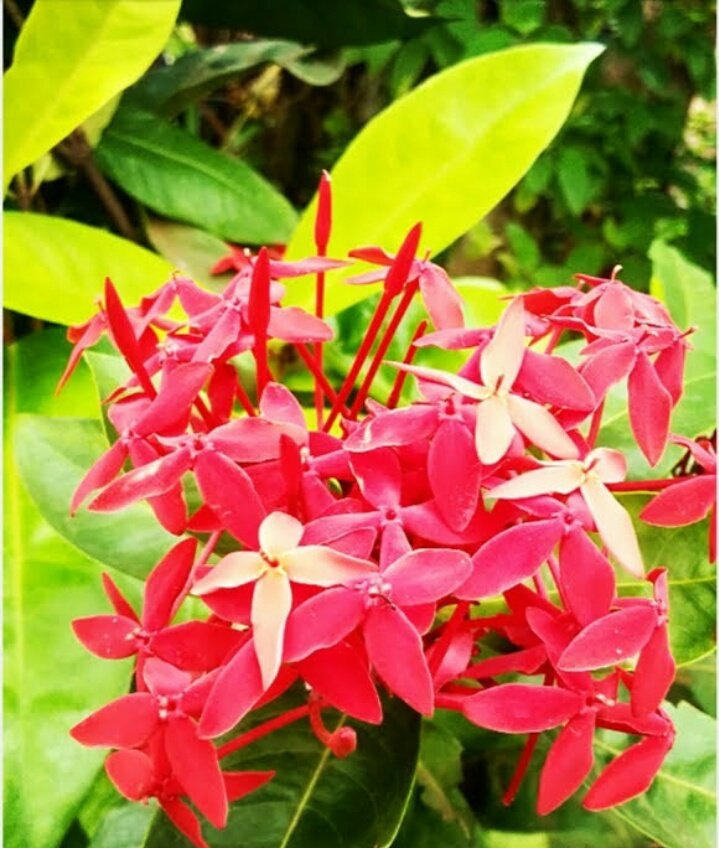 Luckyu90960928's tweet image. Life is #learning🎓
Not for #loosing🏃

#Lucky👒👒👒