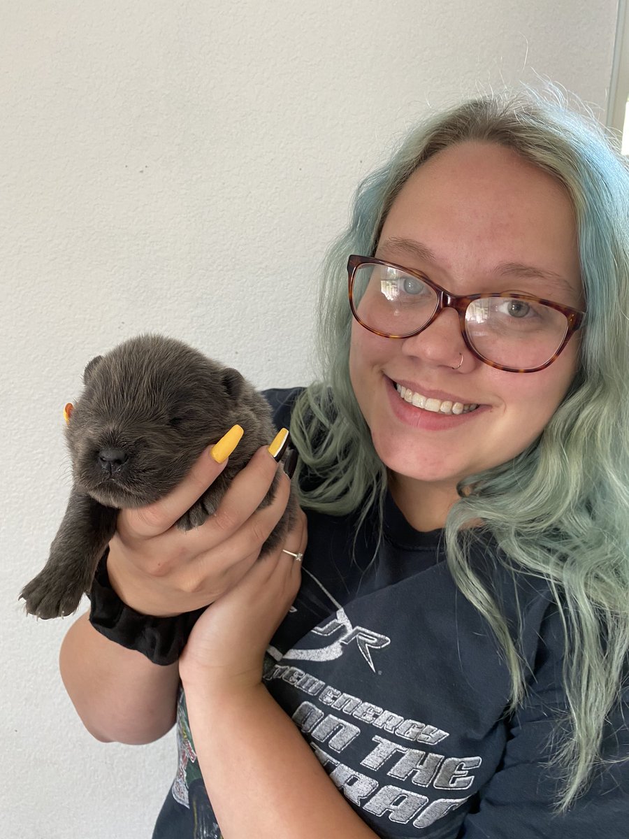 ajaclaireee's tweet photo. Ziggy💕 https://t.co/KvCAUUz7yv
