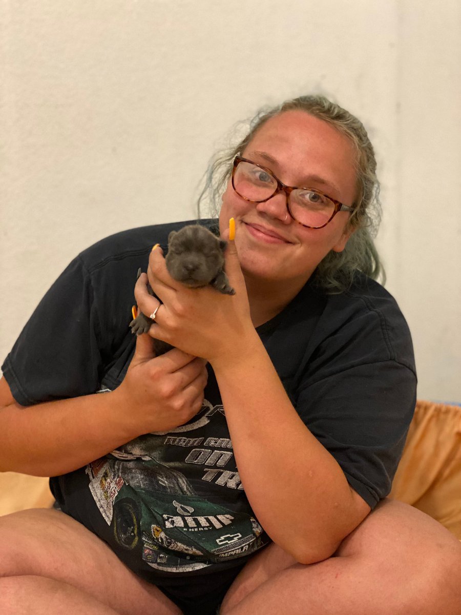 ajaclaireee's tweet photo. Ziggy💕 https://t.co/KvCAUUz7yv