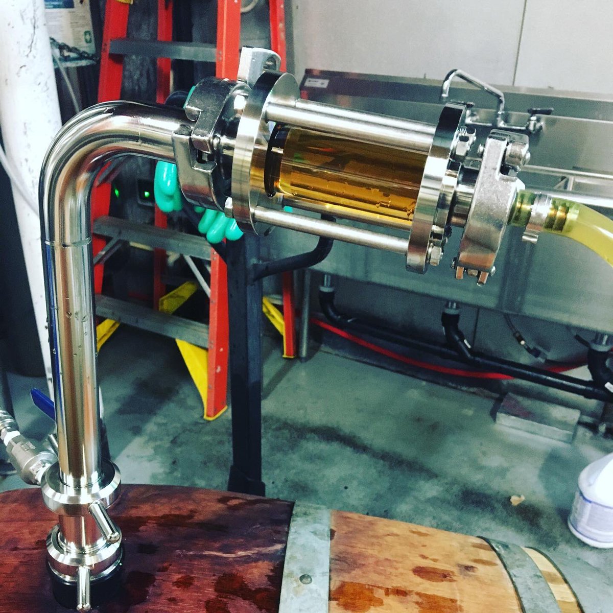 Pulling a Saison out of @maryhillwinery Syrah barrels that aged 3 months on lees. I hope to have this on tap @gorgesbeer around the beginning of Sept. Between now and then I’ll be working on blending and carbonation.
#barrelagedbeer 
#winebarrelagedbeer 
#barrelagedsaison