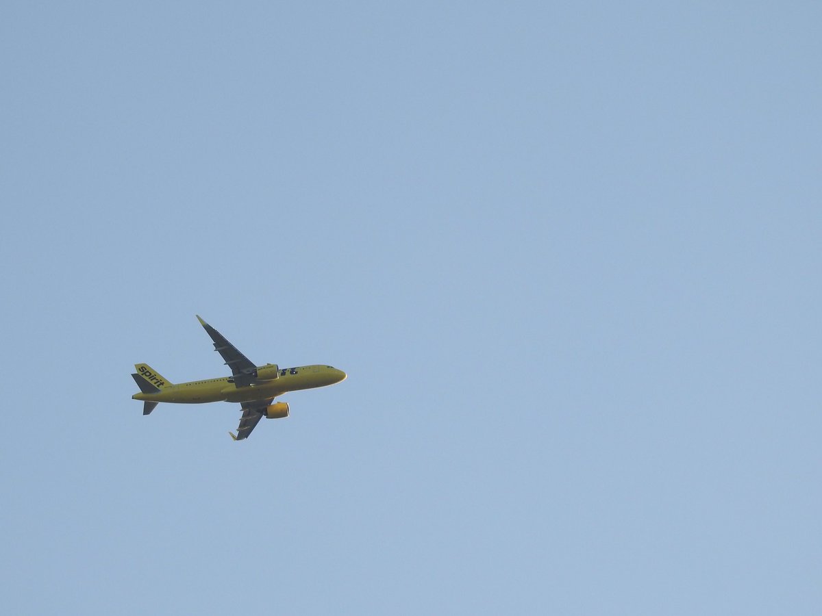 kimwilkie33's tweet photo. I created this image for the @52frames negative space challenge, but I did not submit this one. This Spirit Airlines plane was on final approach to an airport on a cloudless day. #52frames_negativespace #52frames_alternate #airplane #plane #aviation #aircraft #airliner #airport https://t.co/36FBasplIE