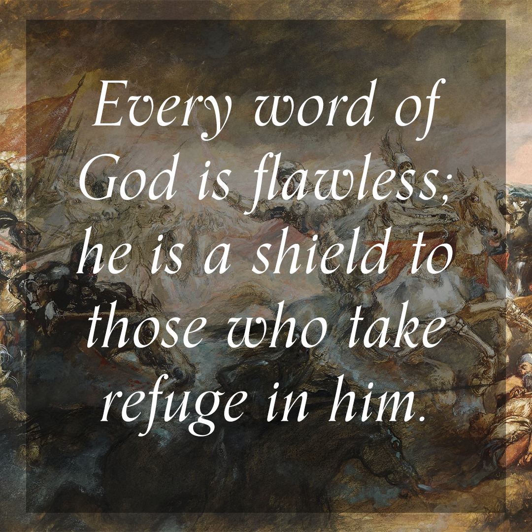ProverbsDailyig's tweet photo. Proverbs 30:5 - "God in his word, God in his promise, is a shield, a sure protection, to all those that put themselves under his protection and put their trust in him." (Matthew Henry's Commentary on the Bible) 💥🙌 https://t.co/ItDSHXZSn7