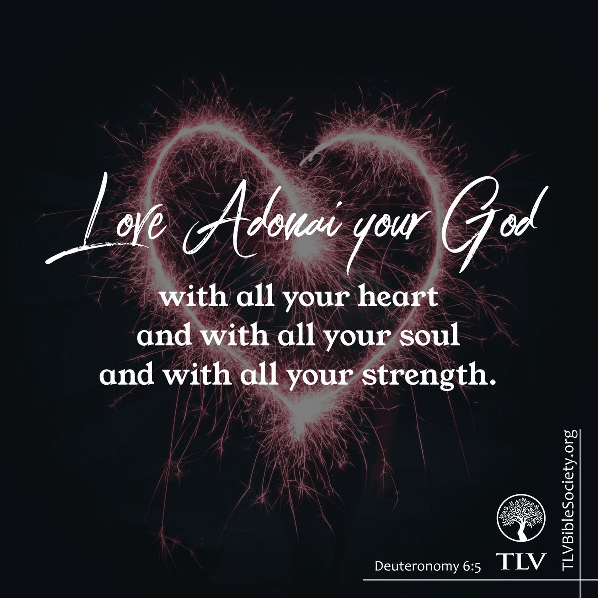 TLVBible's tweet photo. Love ADONAI your God with all your heart and with all your soul and with all your strength.
Deuteronomy 6:5 TLV

#tlvbible #verseoftheday📖 #scriptureverseoftheday  #biblereading #treeoflifeversion https://t.co/glQxD9uXjh