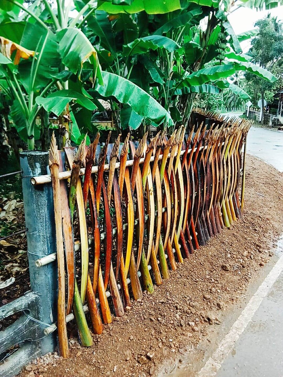 பனை சதிஷ் on X: "பனை என்றும் எமக்கான அரண். உங்கள் வீடுகளில், தோட்டங்களில்  இதை போன்று பனை கருக்கு மட்டையில் வேலி போட்டு இருந்தால் RT செய்து ...