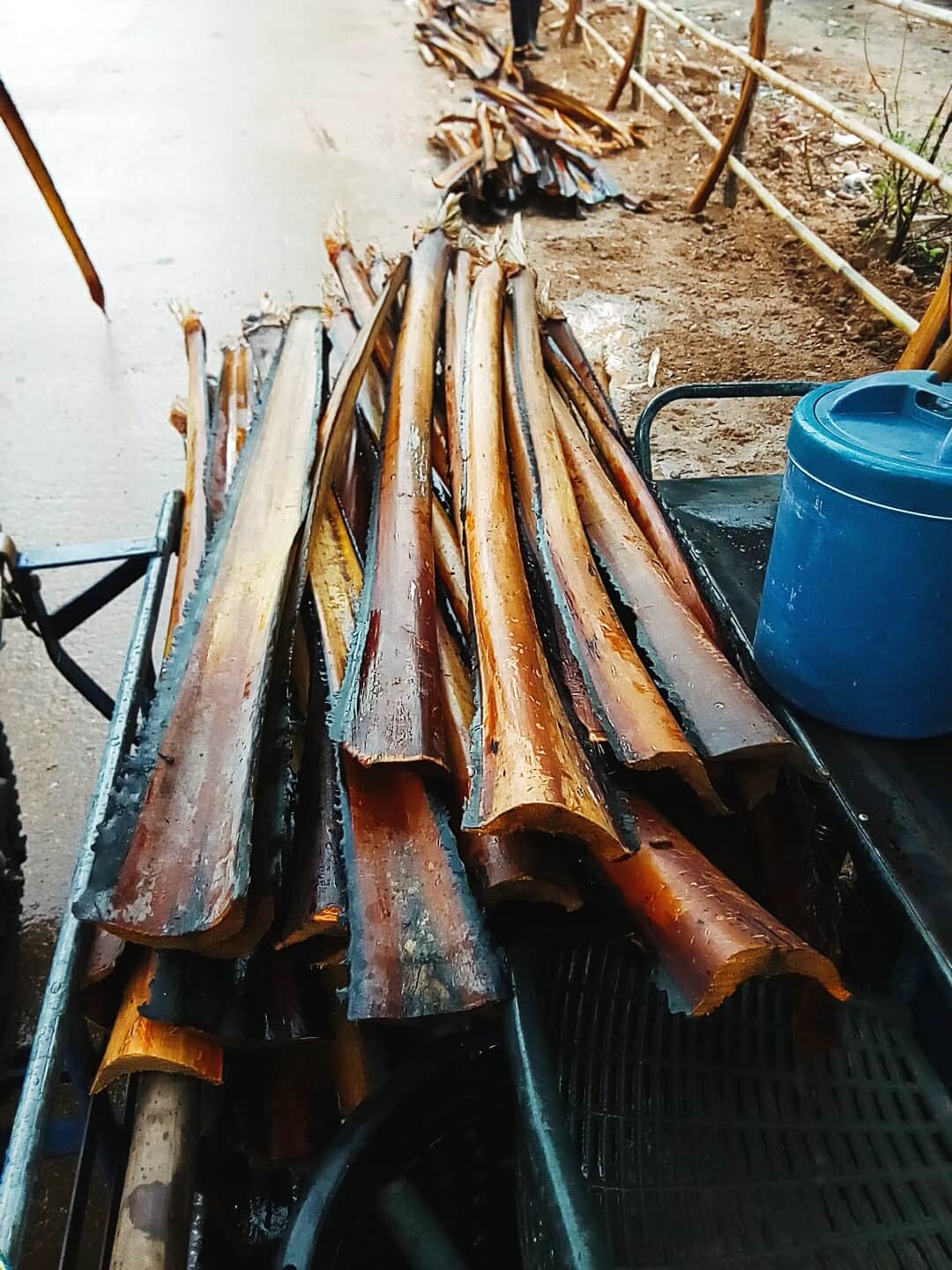 பனை சதிஷ் on X: "பனை என்றும் எமக்கான அரண். உங்கள் வீடுகளில், தோட்டங்களில்  இதை போன்று பனை கருக்கு மட்டையில் வேலி போட்டு இருந்தால் RT செய்து ...