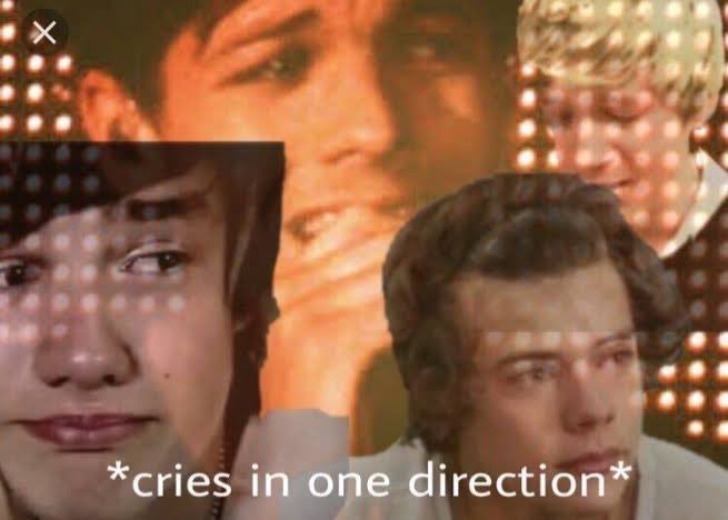 cjwingkee28's tweet photo. me knowing that this is the last content they’re giving us. the last day of us all bonding over the boys and our lives all go back to normal again after this:  

#1DecadeOf1D 
#10YearsOfOneDirection #1DWWATOUR https://t.co/2Oua4gWoRy
