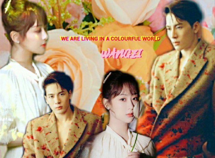 Whitesn67950835's tweet photo. We are living in a colourful world 

- wangzi-

#JacksongWang #yangzi #zeir https://t.co/fwQKzSiAzO