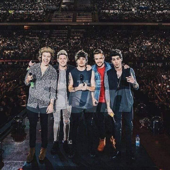 icarusbetterz's tweet photo. Después de ver el concierto de one direction en San siro nos queda mas claro por que one direction es la mejor boy band fue tremendo el concierto y el fan project fue el más grande que se ha hecho #1DWWATOUR https://t.co/MutNAxA609