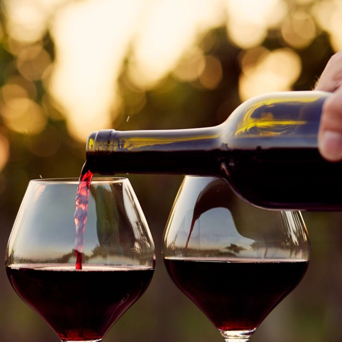 Good food is made better by great wine. What's your favorite Spanish wine?