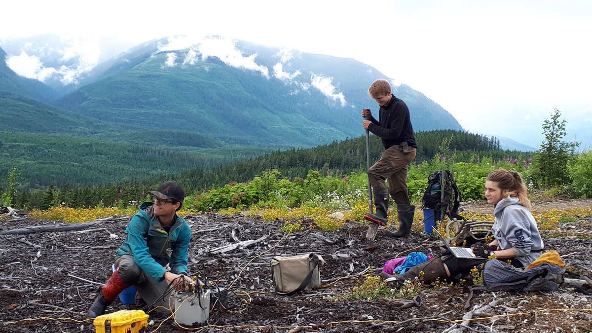BorealisGeopow's tweet photo. Borealis’s technical team successfully completed a 3-week magnetotelluric survey at Kitselas Geothermal Inc.’s Lakelse property. Many thanks to Phoenix Geophysics for the wonderful customer support. #canadianenergy #lovegeothermal #exploration #renewableenergy  #energytransition https://t.co/686AHr8wYo