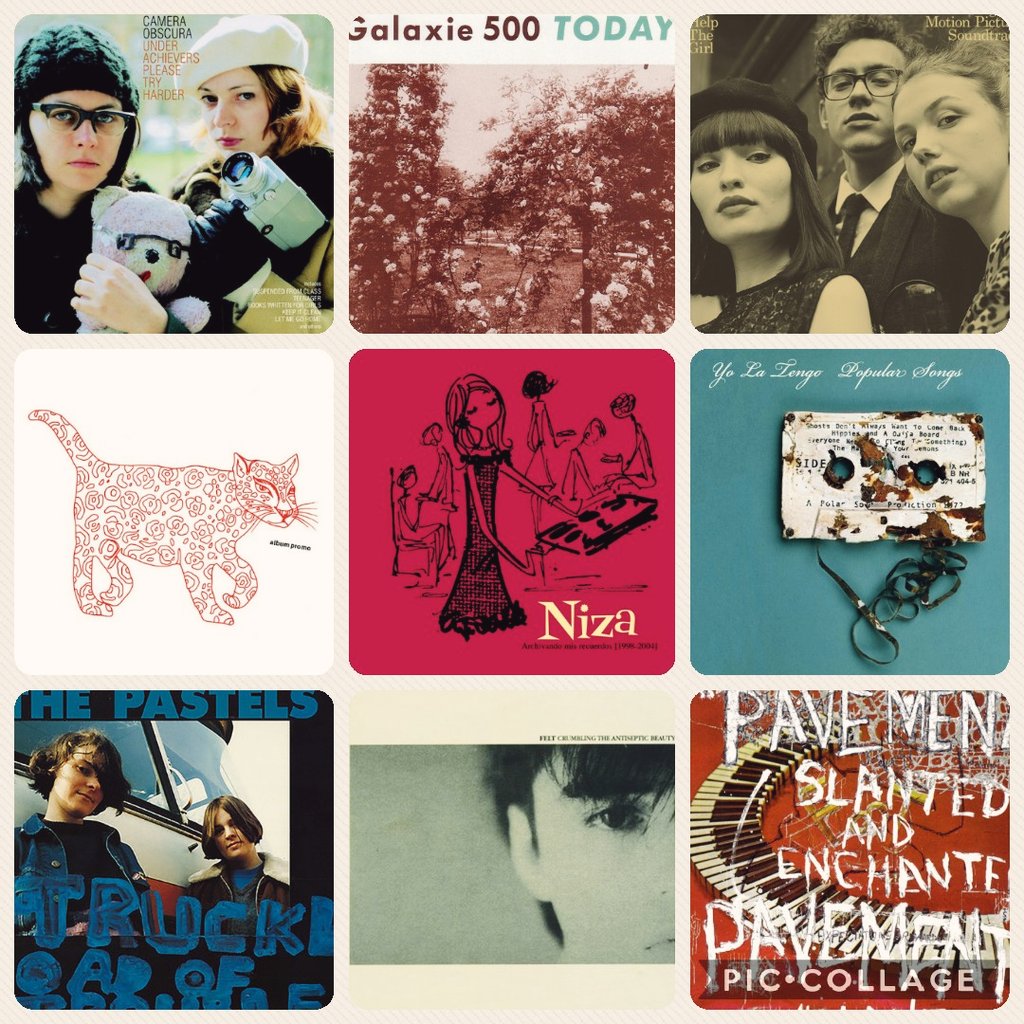 かんの🍉ねこ tweet media