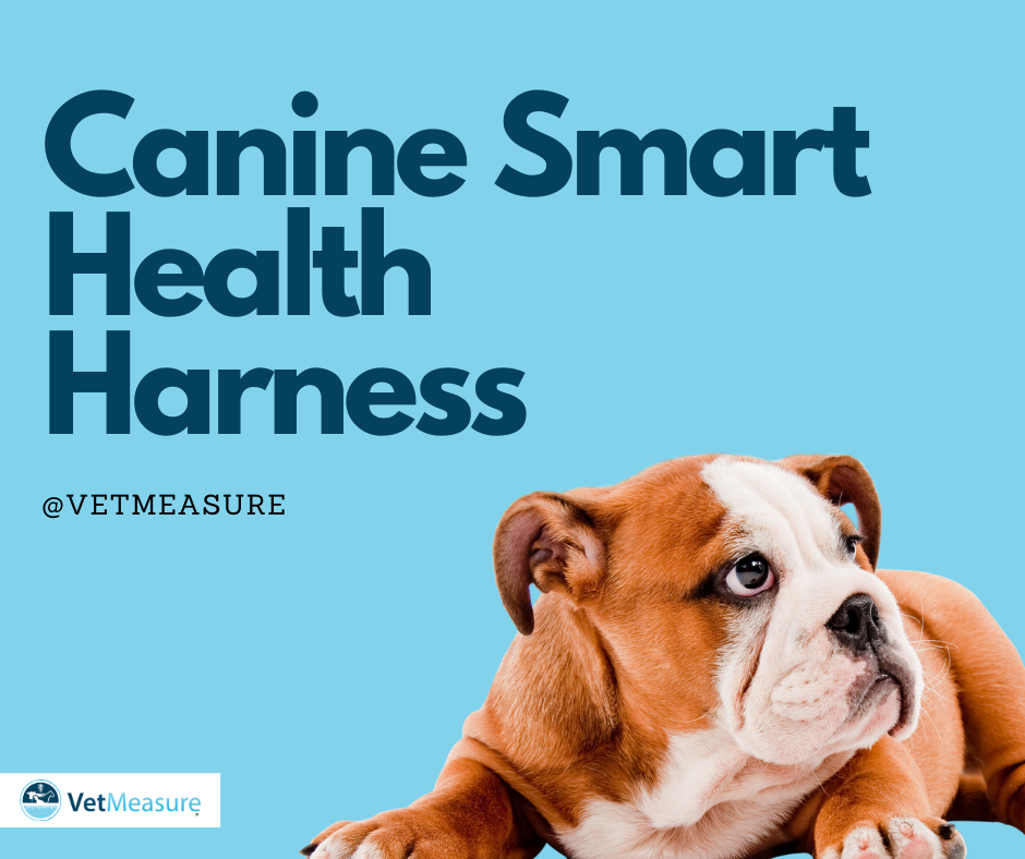vetmeasure's tweet photo. The #MeasureON! canine smart harness has many sensors to provide the most accurate vital metrics. #VetResources https://t.co/7bR10ChHE7