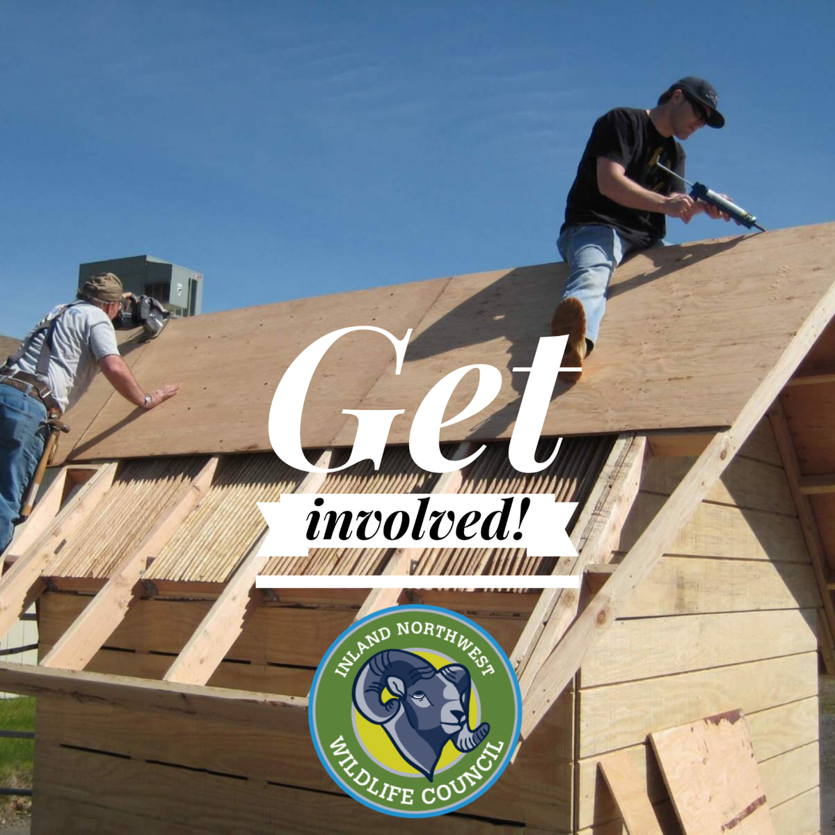 CouncilInland's tweet photo. Want to get involved but not sure how to start? From memberships to volunteer work, one of our focuses has always been discussing current wildlife issues and developing solutions. Contact 509-487-8552 or go to https://t.co/eFoPUAYapW to view our membership opportunities. https://t.co/ZWkv0ZHVqN