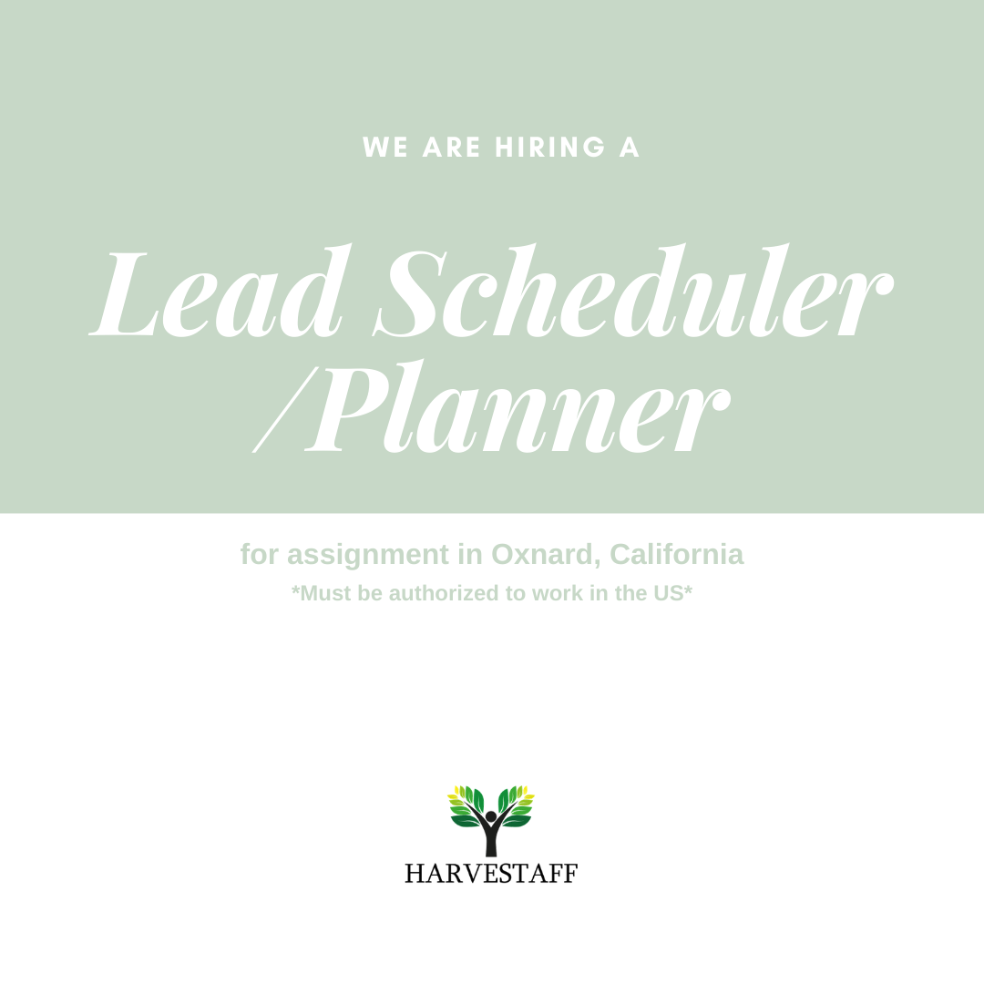 HarveStaff's tweet photo. New job opportunity! We are hiring a Lead Scheduler/Planner for assignment in #Oxnard, #California to apply and for more information please visit the following link https://t.co/EqBjCQwOtb #LeadScheduler #Planner #employment #jobopportunities #hiring #wearehiring #jobseeker https://t.co/BHSJsjm7MB
