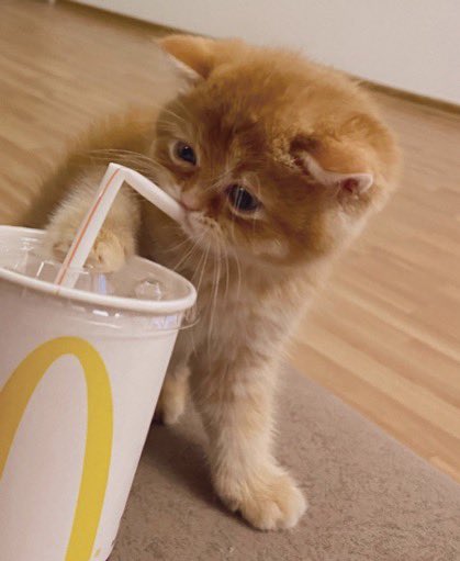 الطف شيء تشوفونه اليوم