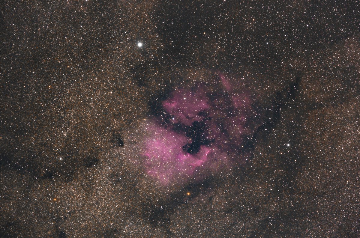 victor_boesen's tweet photo. Here are a couple of photos I've taken during the last week when the weather cooperated;)
Photos are taken with an unmodified @NikonUSA D3300, @SkyWatcherUSA Star Adventurer from @FLO_UK &amp; #Samyang 135mm F/2.0 all at F/2.8 and ISO800.
#M31 #M27 #NGC7000 #NGC6960 #NGC6992 #NGC6974 https://t.co/ijhwoScMGJ