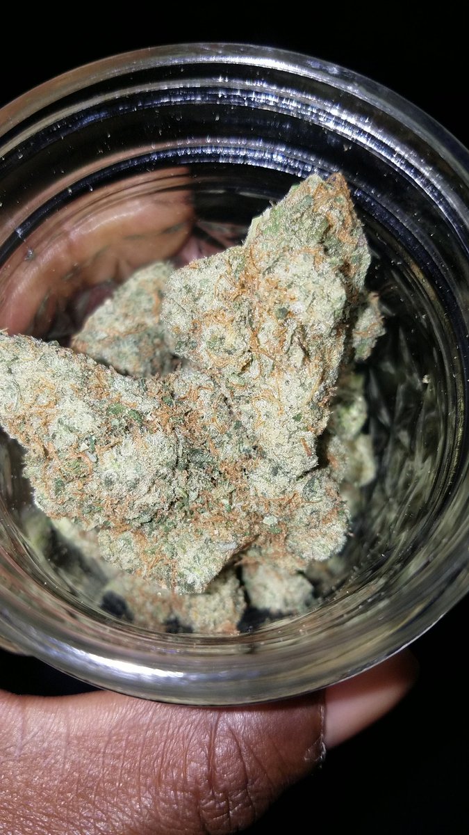 730TheDJ's tweet photo. Chem Dawg https://t.co/5P7xAFkIFX