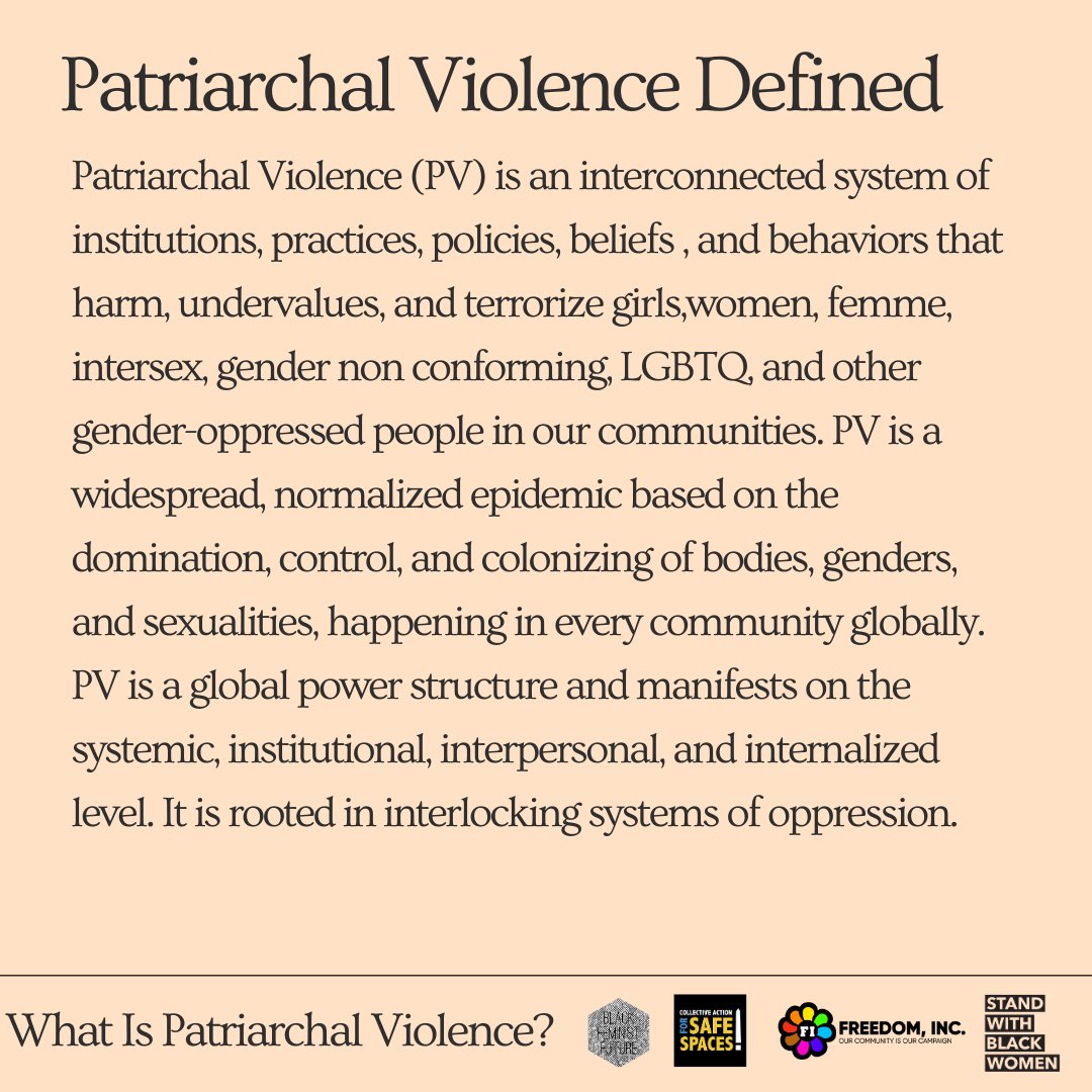 What is Patriarchal Violence?