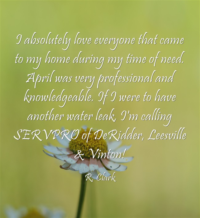 #AnotherHappyCustomer #TestimonialTuesday #SERVPRODLV #Water #Fire #Mold #Covid