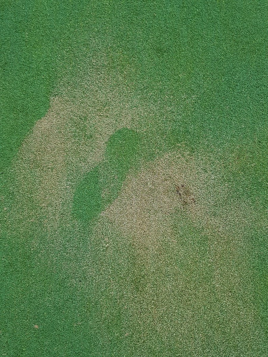 Don't spray yourself on the greens!
