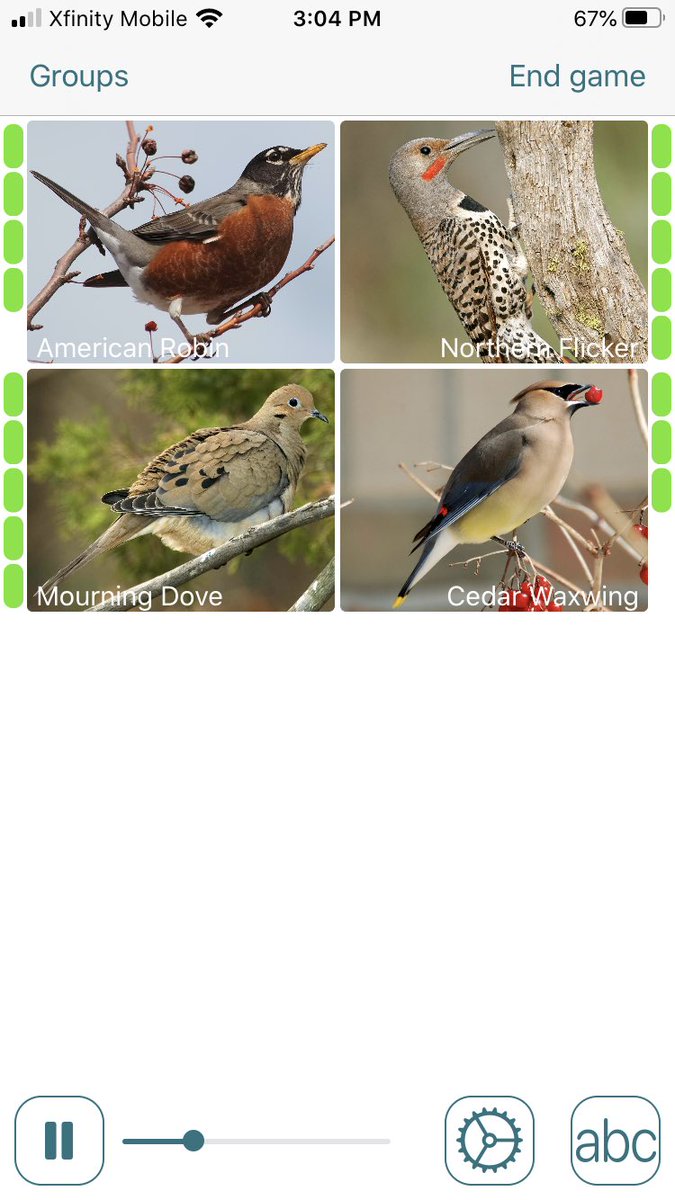 Sci_Board's tweet photo. Using Larkwire app to practice birdsongs.  Free/fun app to learn about your feathered neighbors.  These were the easiest group to identify.  #birdnerd #birding @txextension Thanks to TAMU for an awesome class! https://t.co/QRYYphtH4u