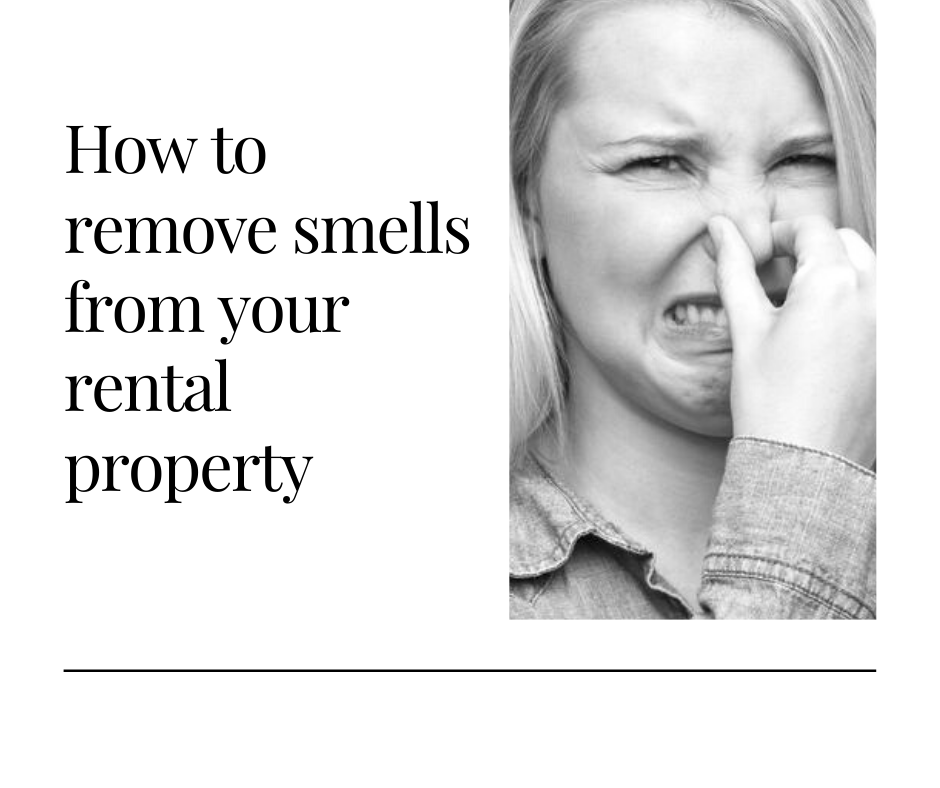 36NorthPM's tweet photo. Property Management Tips – How To Remove Smells From A Rental Property

https://t.co/7Gy6Xi5b5d

#propertymanagement #propertymanager #salinas #monterey https://t.co/4CfowtZMno