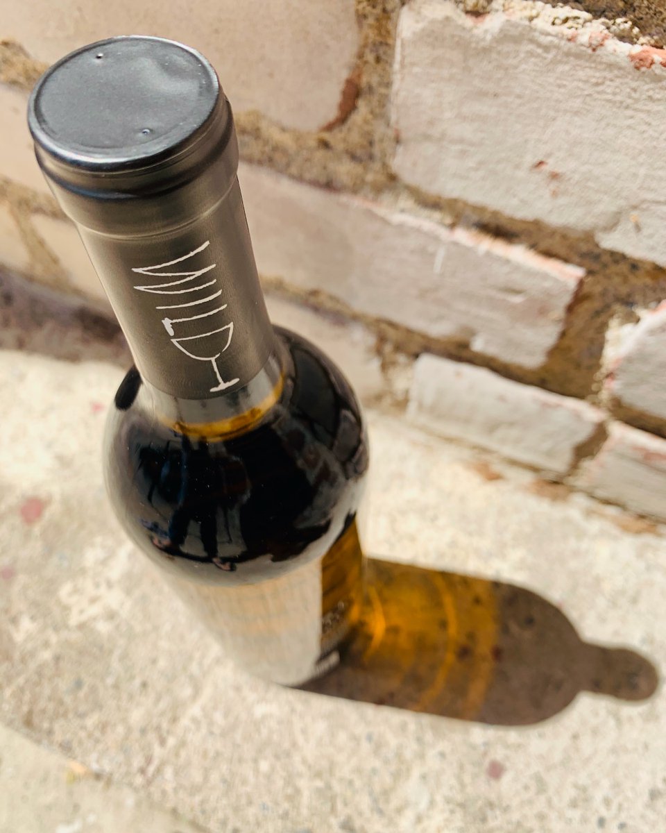 DC_Wines's tweet photo. We can’t wait to have you try another new Lost Slough wine!
Hint: It’s not a red, white or Rosé. 🤔
#wine #whitewine #cawine #wildferment #newvarietal #summerwine #naturalwine #dancingcoyotewines #lostsloughwines https://t.co/O7vViQz3hS