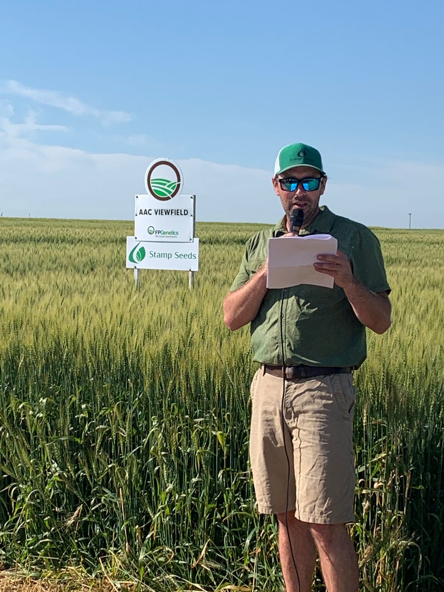 FPGenetics's tweet photo. @Stampseeds #AACViewfield #CDCLandmarkVB #newbarley https://t.co/Zylax6GT0I