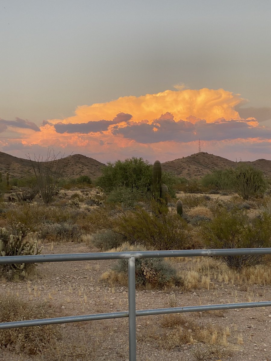ToriTor20's tweet photo. big arizona girl☀️ https://t.co/9hAPrtdfUV