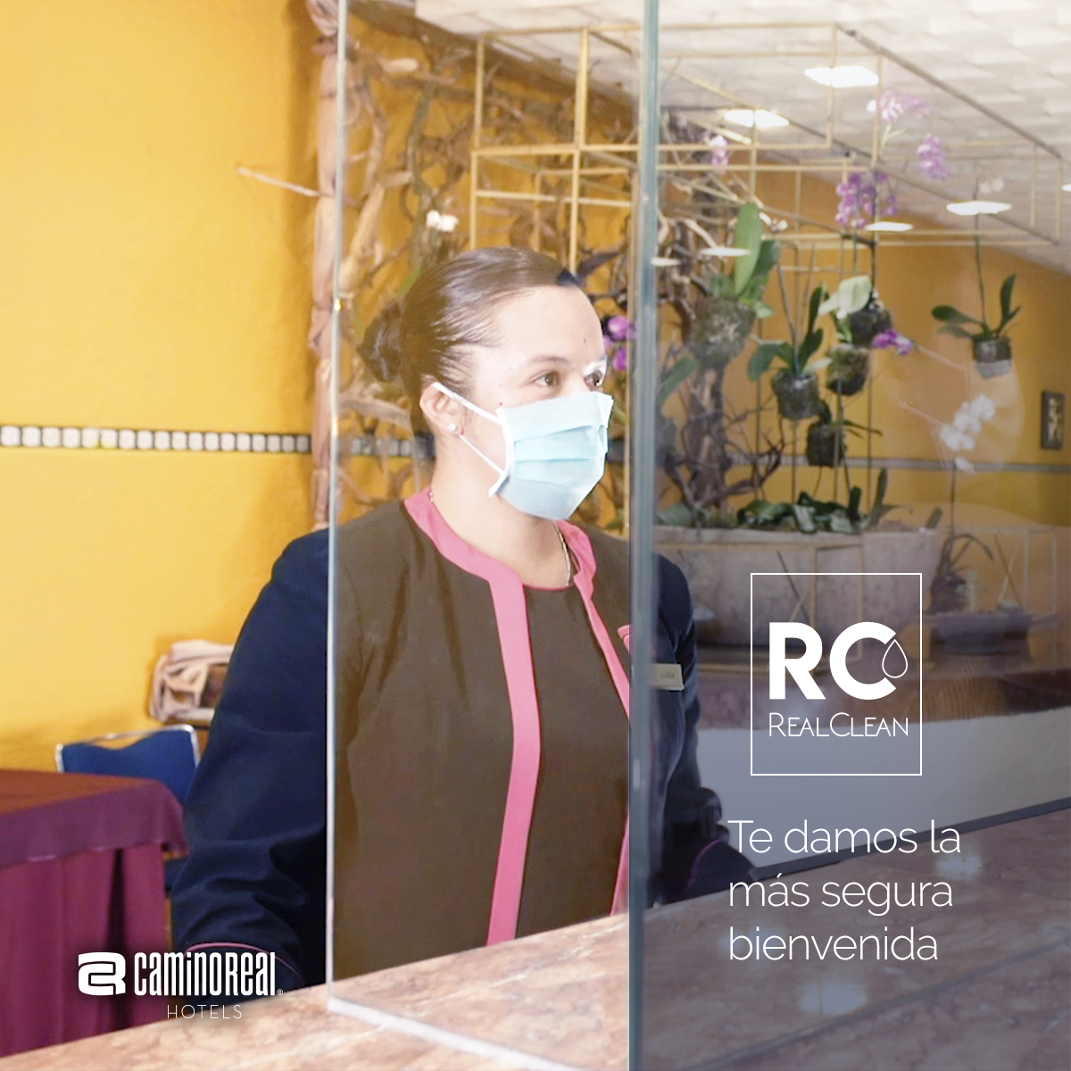 CaminoReal's tweet photo. Siempre a tu llegada, te recibiremos con mamparas en la recepción y un personal con todo el equipo de protección adecuado. ⚠️👌🏻✨
#RealClean y #SafeTravels son nuestros sellos de garantía de protocolos en seguridad e higiene.
Te esperamos https://t.co/U6FmXq7AhO 🧳✨ https://t.co/NyW4lztys8