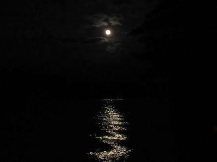 Nd4KN's tweet photo. تیرا ہی رقص سلسلہ عکس خواب ہے
اس اشک نیم شب سے شب ماہتاب تک

Time to sleep 🛌 https://t.co/xJXyC6EiX2