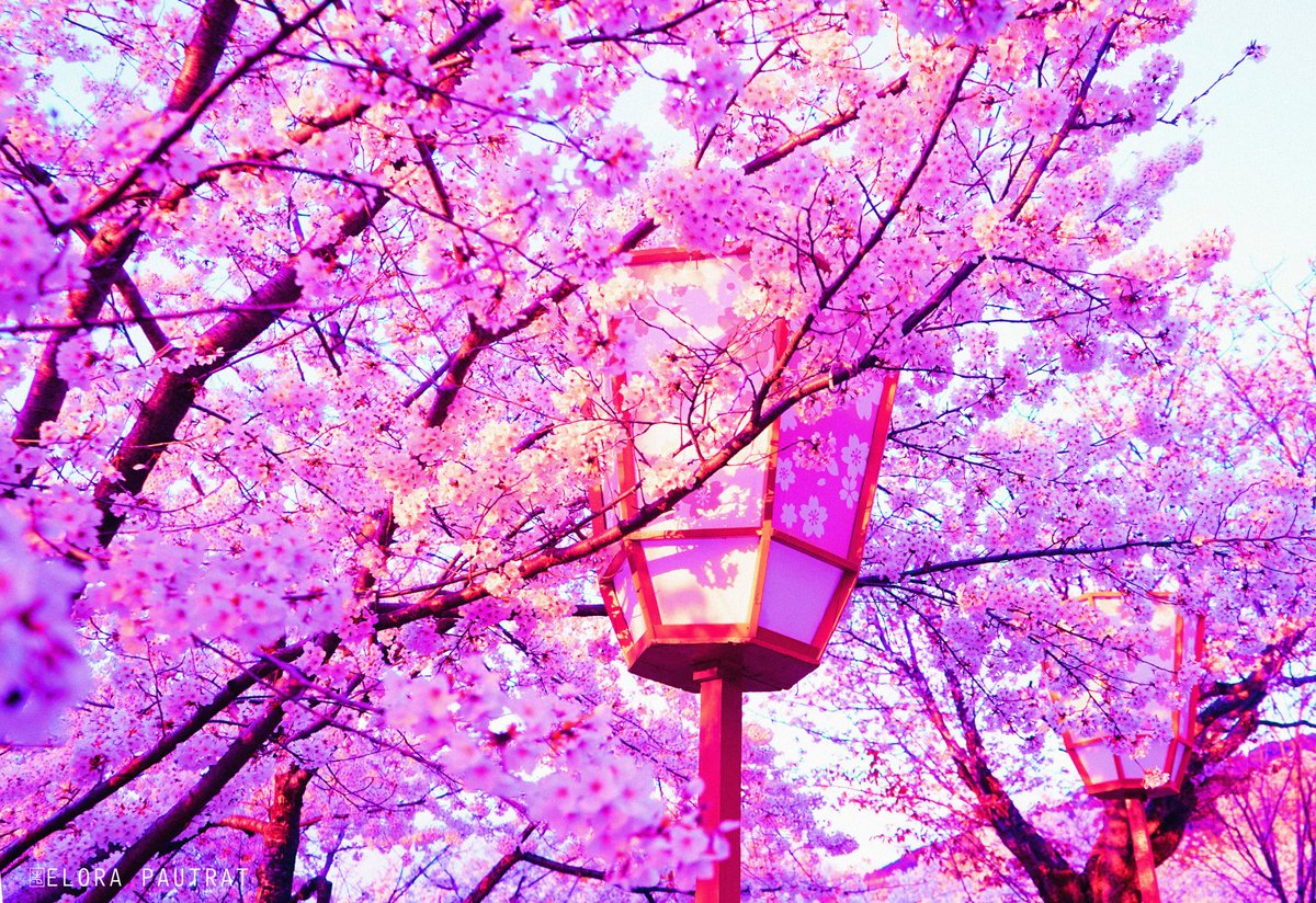 Owakita_ tweet picture