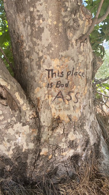 If you know, you know 😈📍 #IE https://t.co/BwuKobpG00<a href="/tag/ie"class="tags">#IE</a>