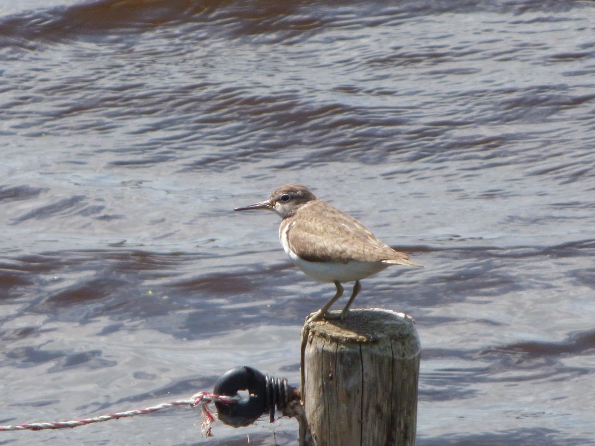 Gedeeld vanuit de app Foto's
1 foto