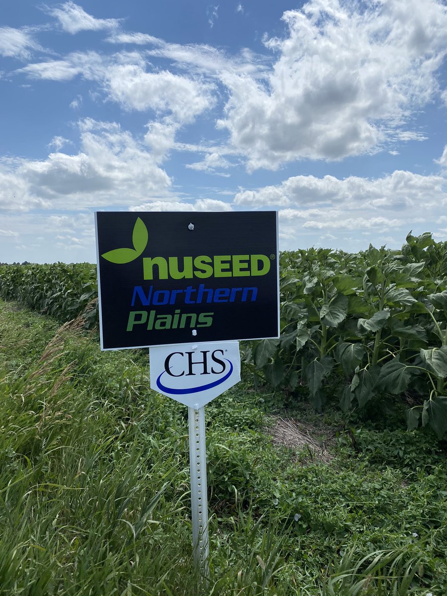 Austyn Webb tweet media